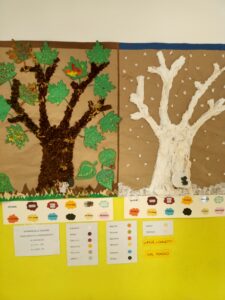 Alberi e stagioni - elaborato scuola primaria